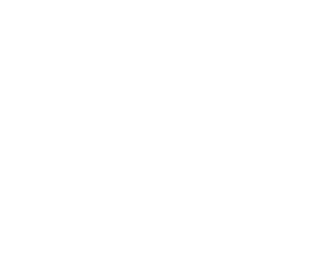The Shop & Ship Blog